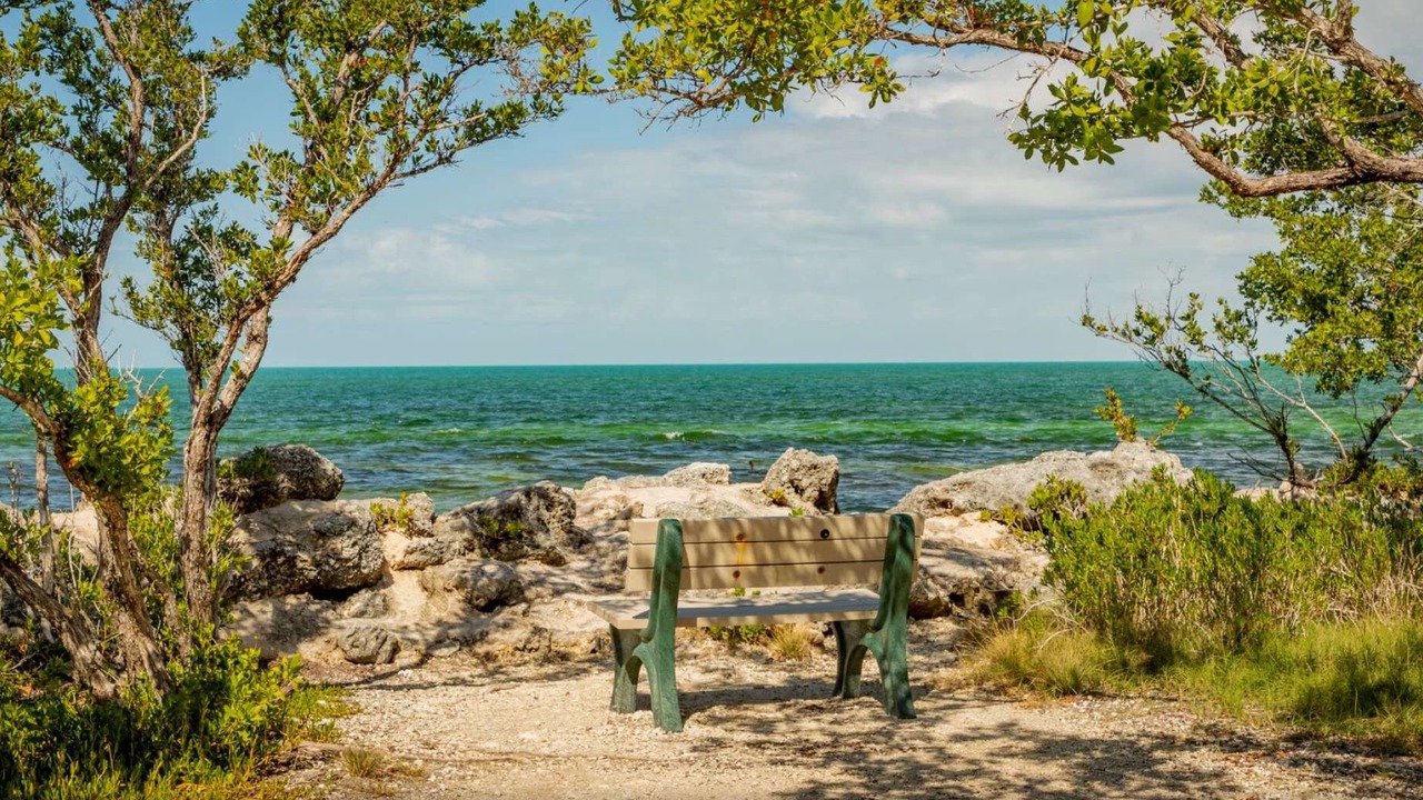 Photo of Others in Marathon