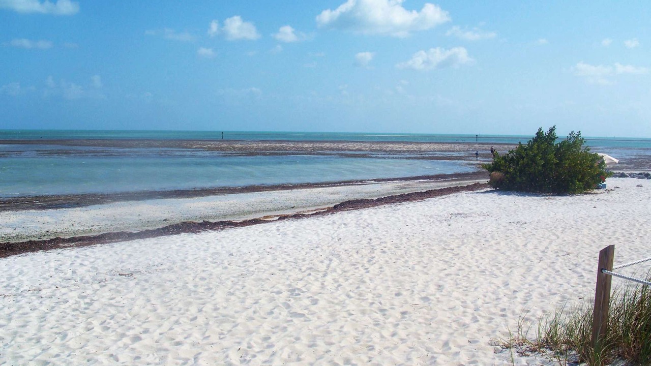 Photo of Others in Marathon