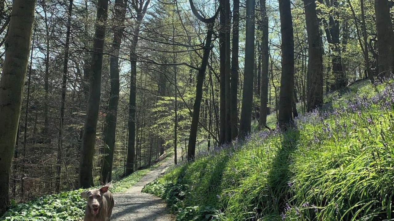 Photo of Others in Addingham