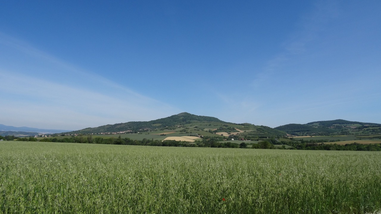 Photo of Others in Yronde-et-Buron
