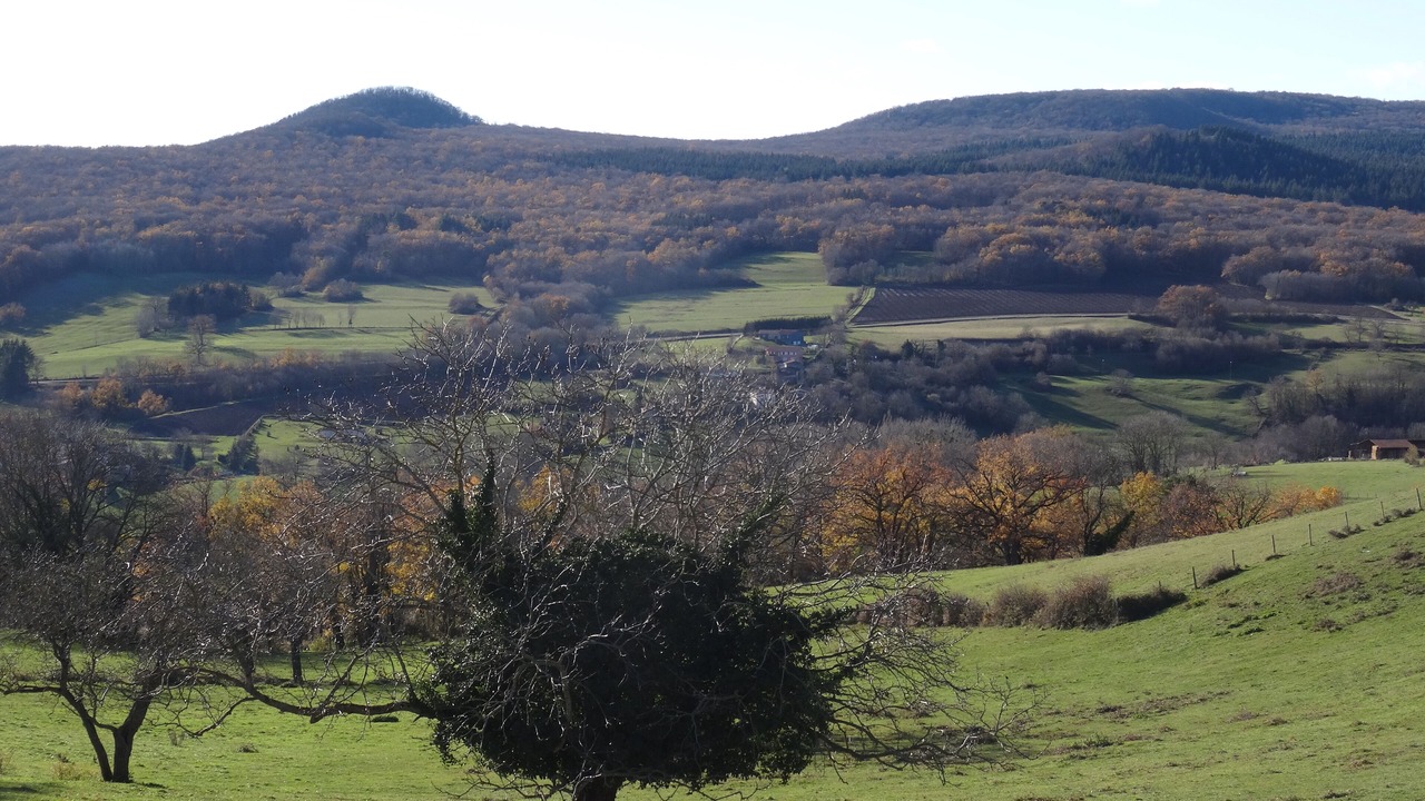 Photo of Others in Yronde-et-Buron