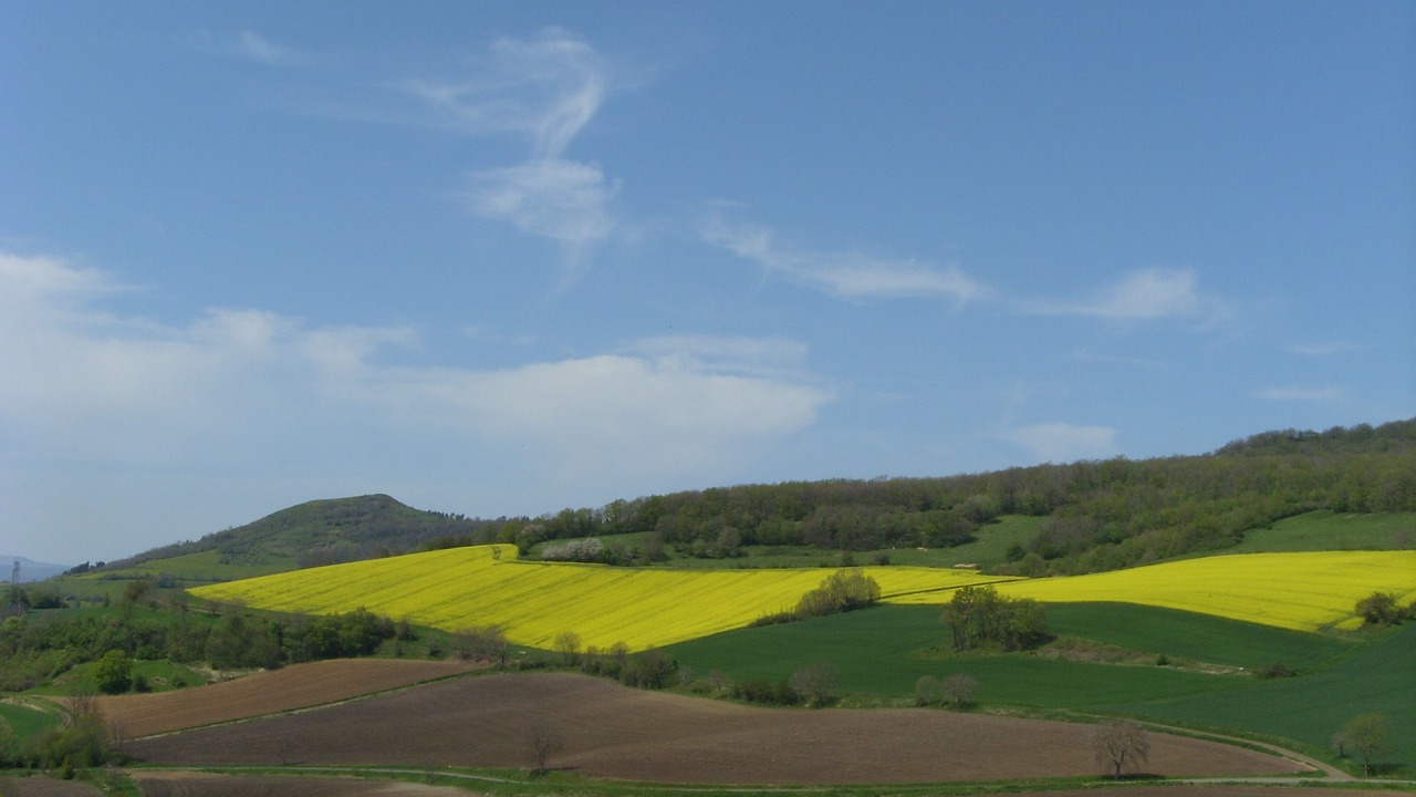 Photo of Others in Yronde-et-Buron