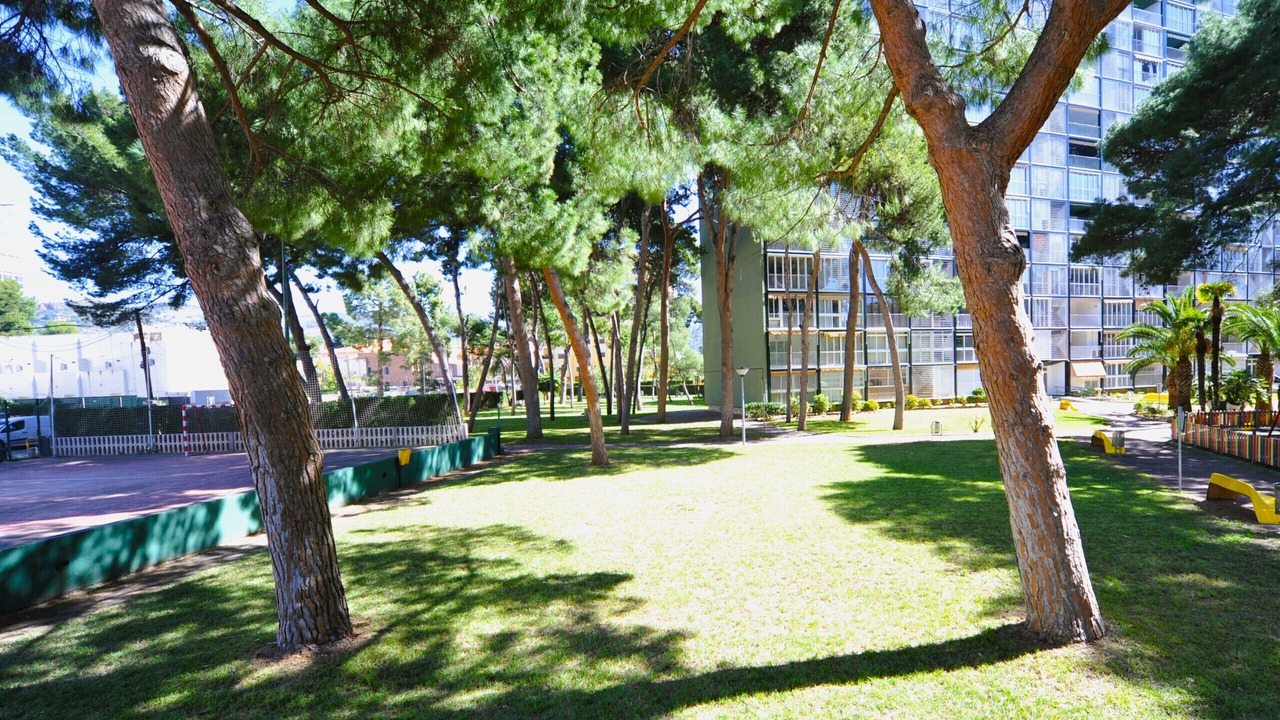 Photo of Outdoor in Benicassim