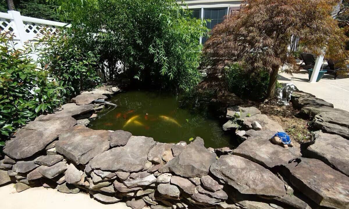 Photo of Outdoor in Stevensville