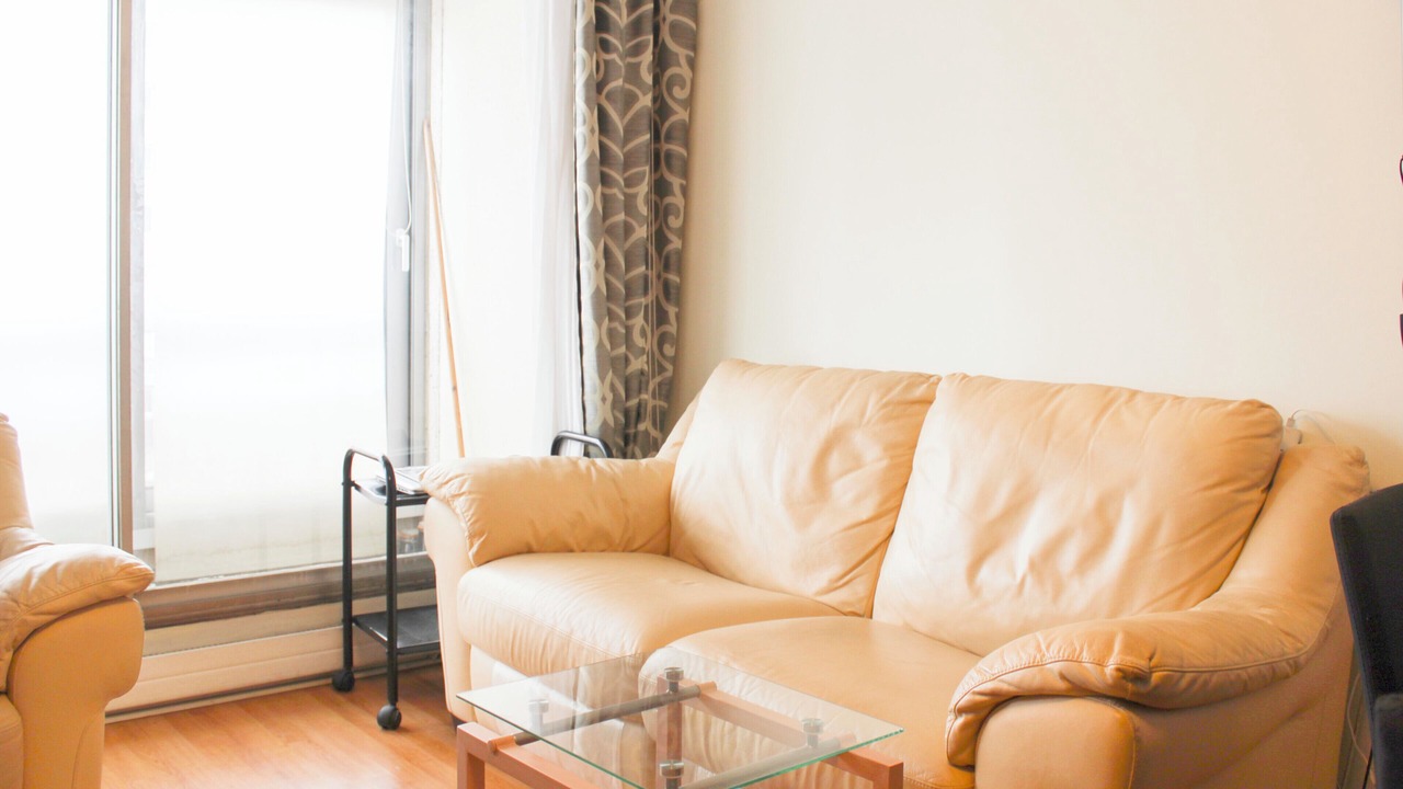 Photo of Livingroom in Flandres