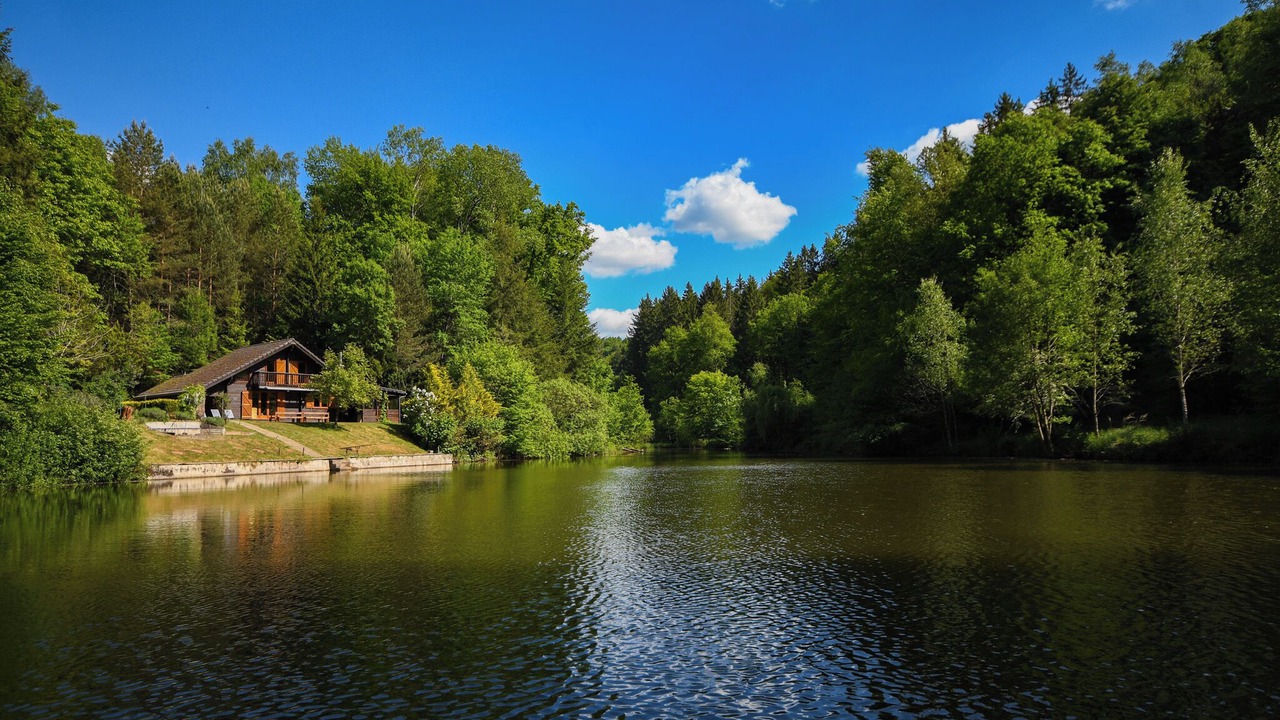 Photo of Others in Lemberg