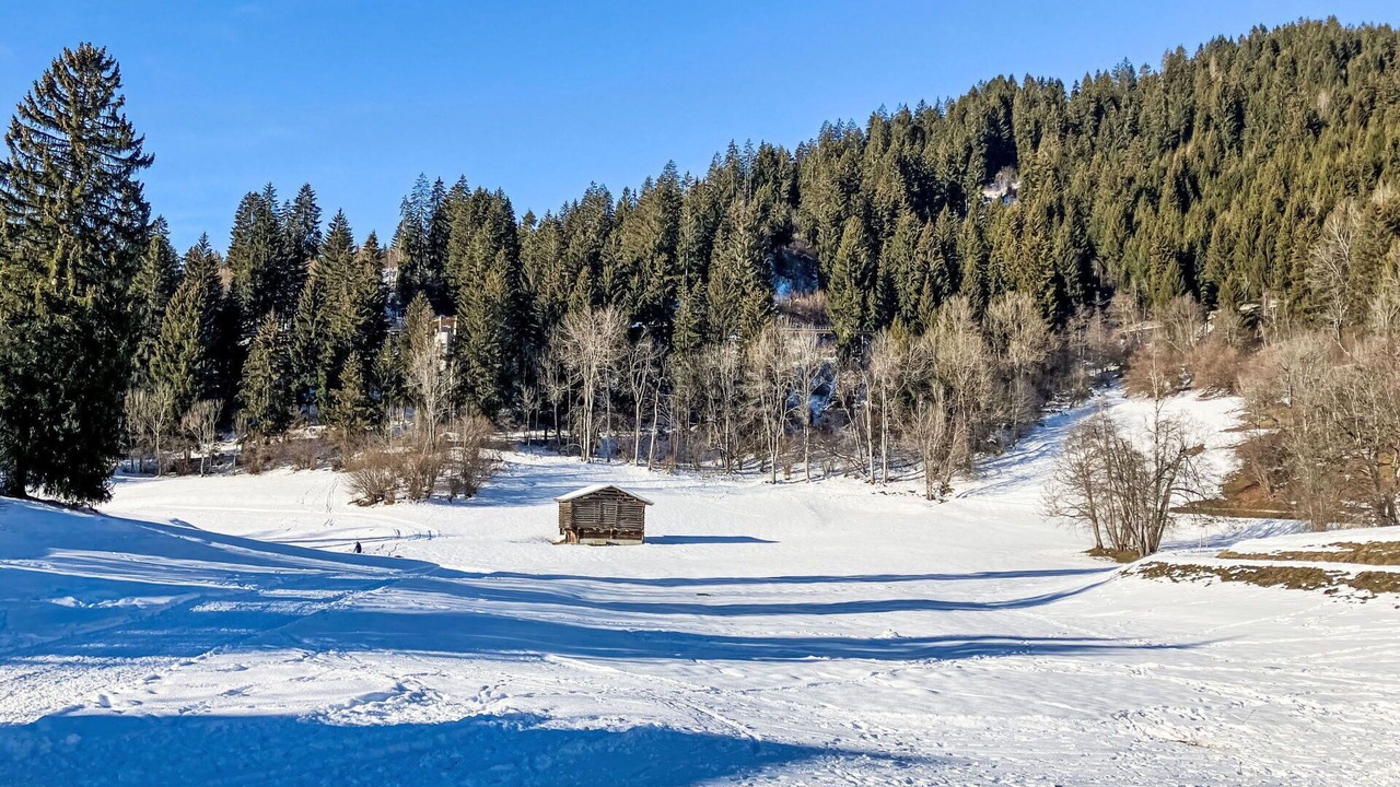 Photo of Others in Laax