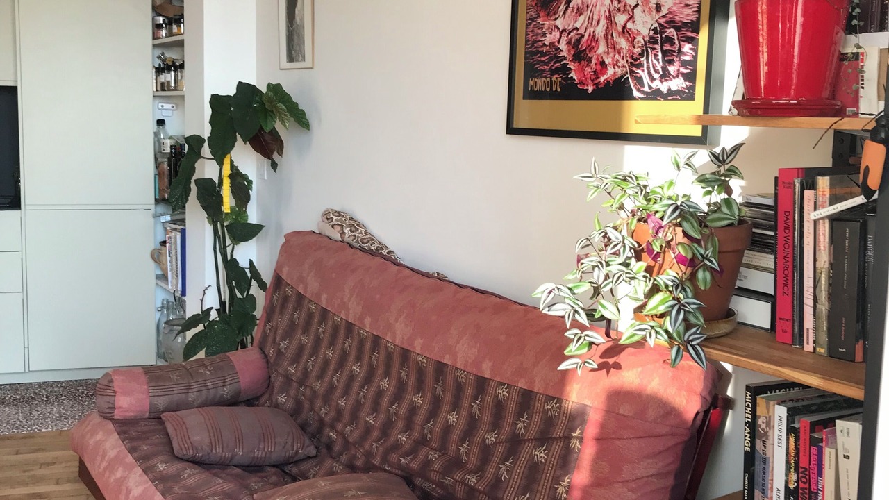 Photo of Livingroom in Belleville