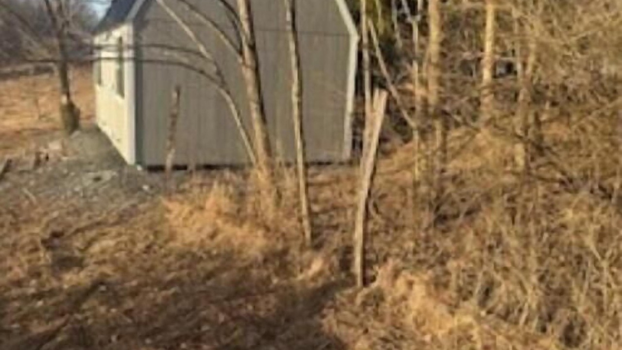 Photo of Outdoor in Mansfield