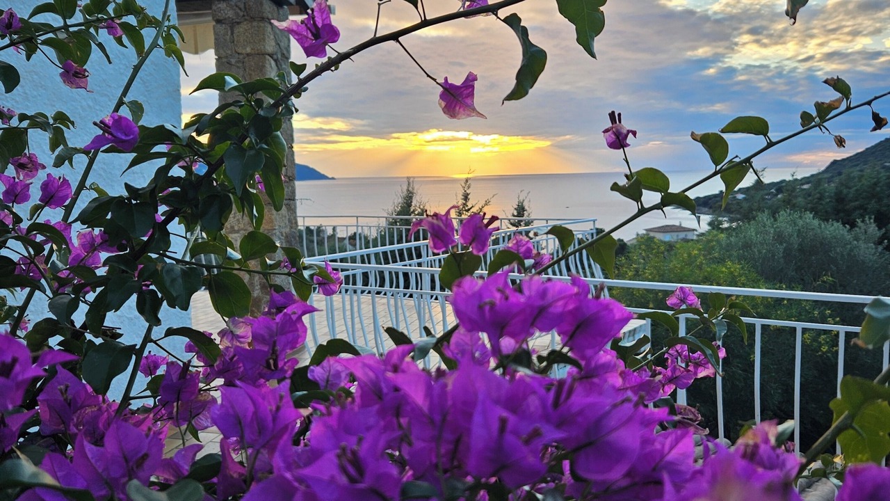 Photo of Outdoor in Casaglione