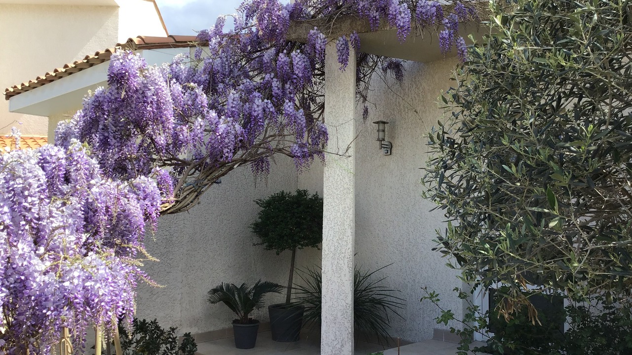 Photo of Outdoor in Sorede
