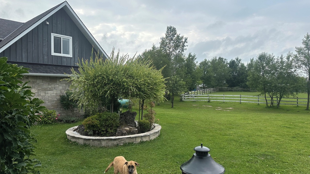 Photo of Outdoor in Glen Huron