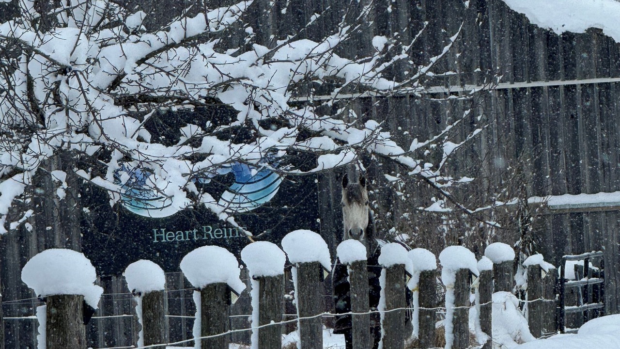 Photo of Outdoor in Glen Huron