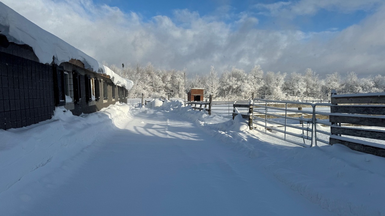 Photo of Outdoor in Glen Huron