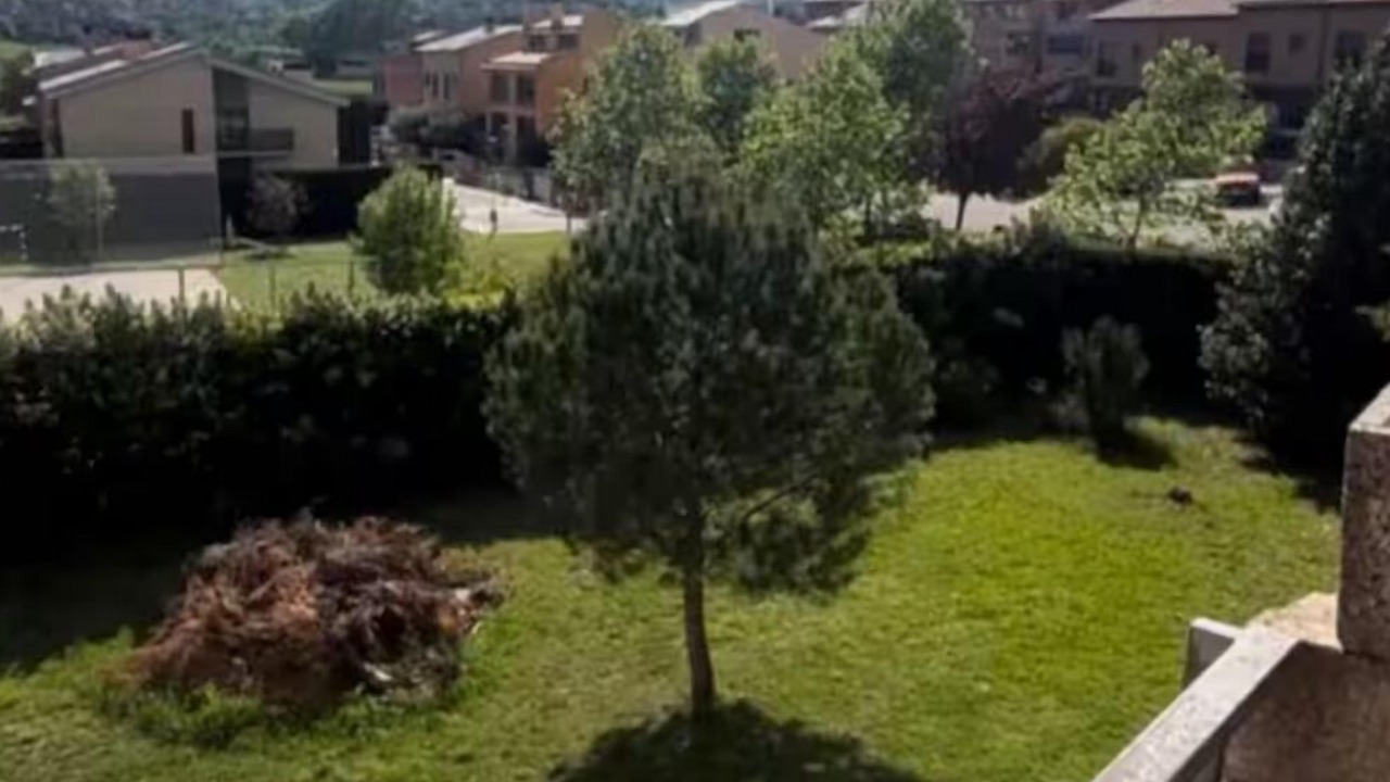 Photo of Outdoor in Avia
