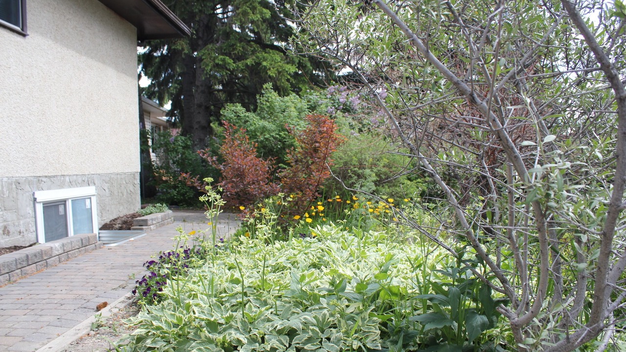 Photo of Outdoor in Brentwood