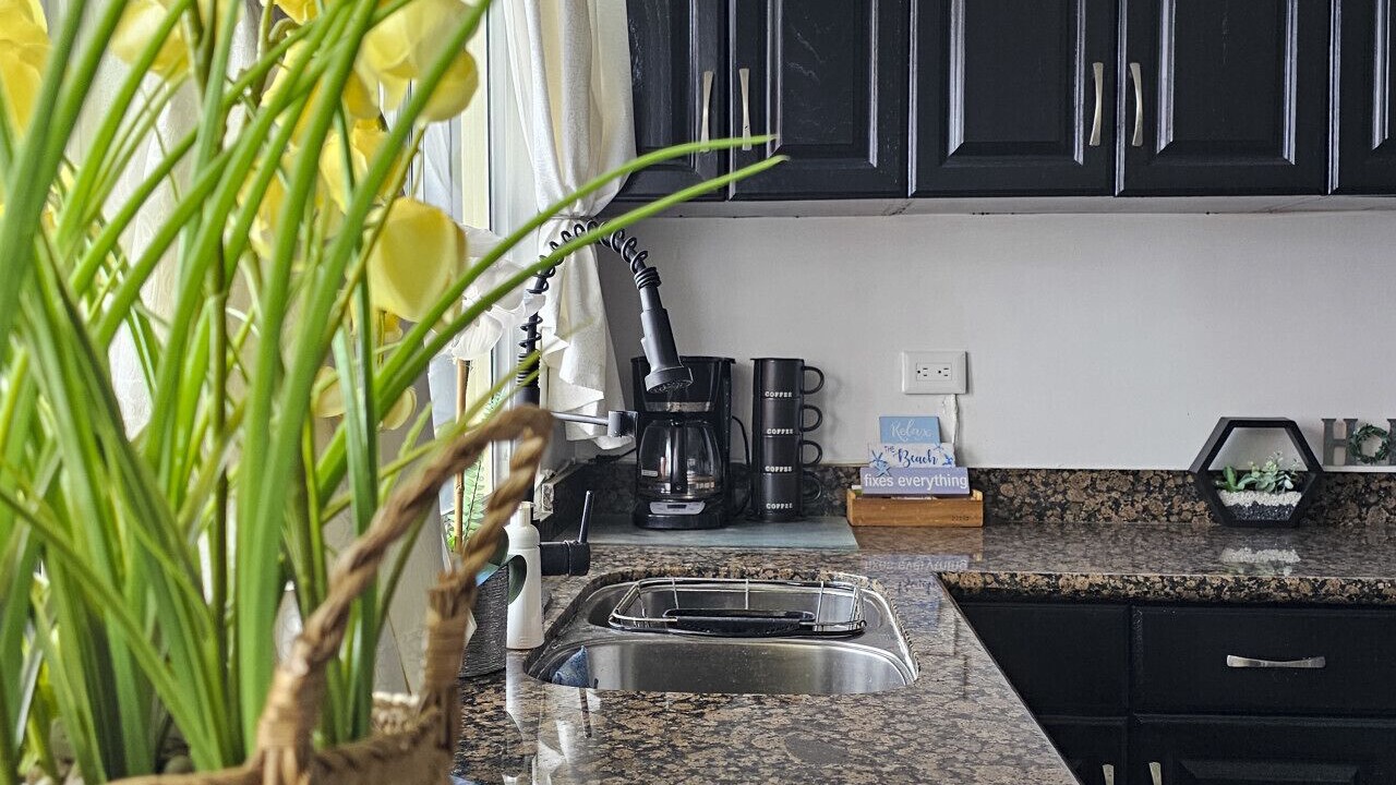 Photo of Others in Rosarito