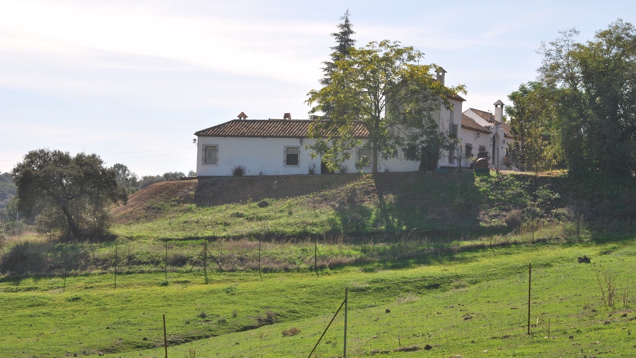 Photo of Outdoor in Cordoba