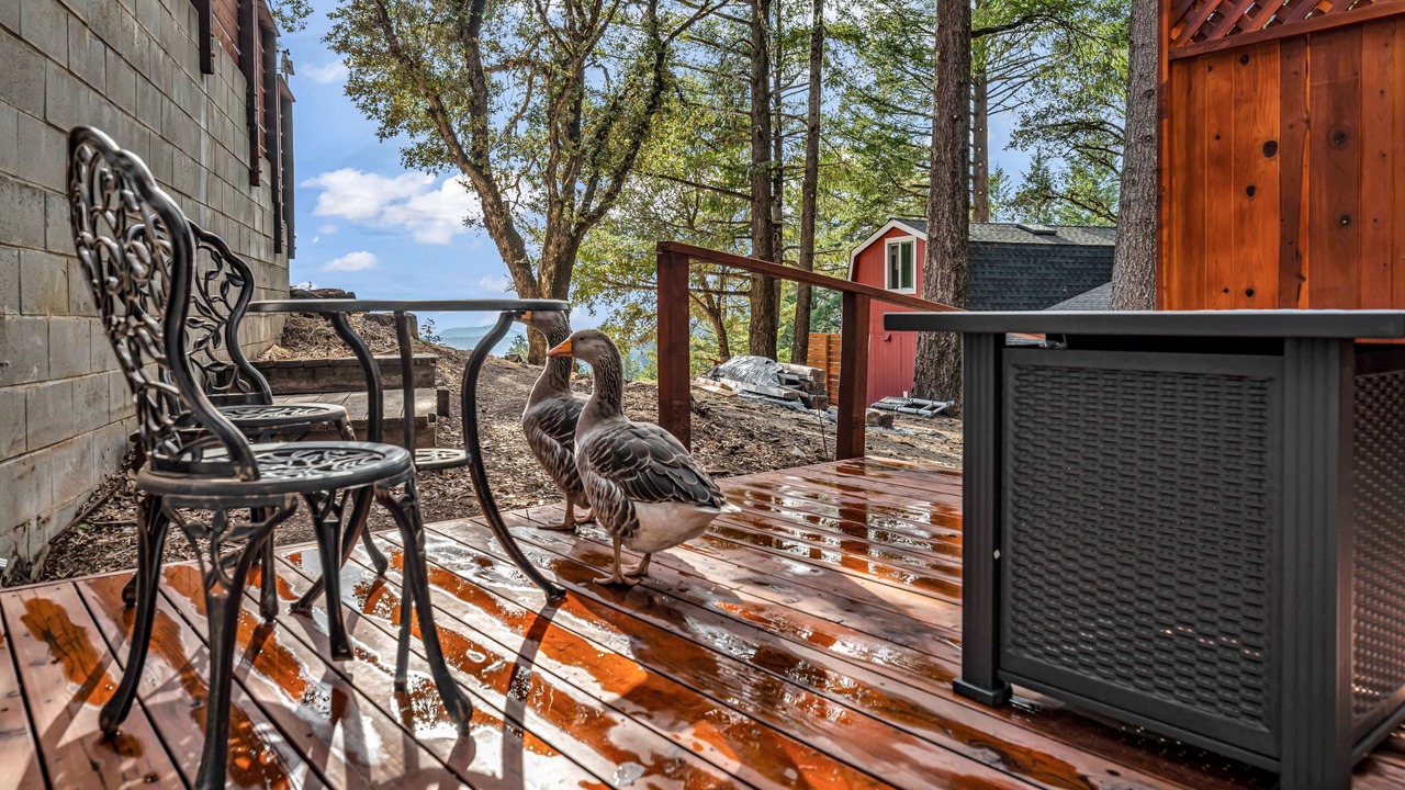 Photo of Patio Balcony in Los Gatos