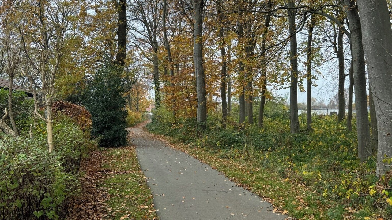 Photo of Others in Vejle