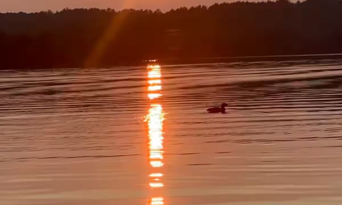 Photo of Others in Mount Vernon