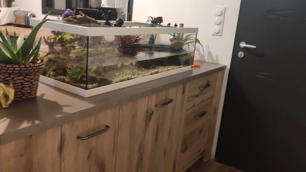 Photo of Others in Donges