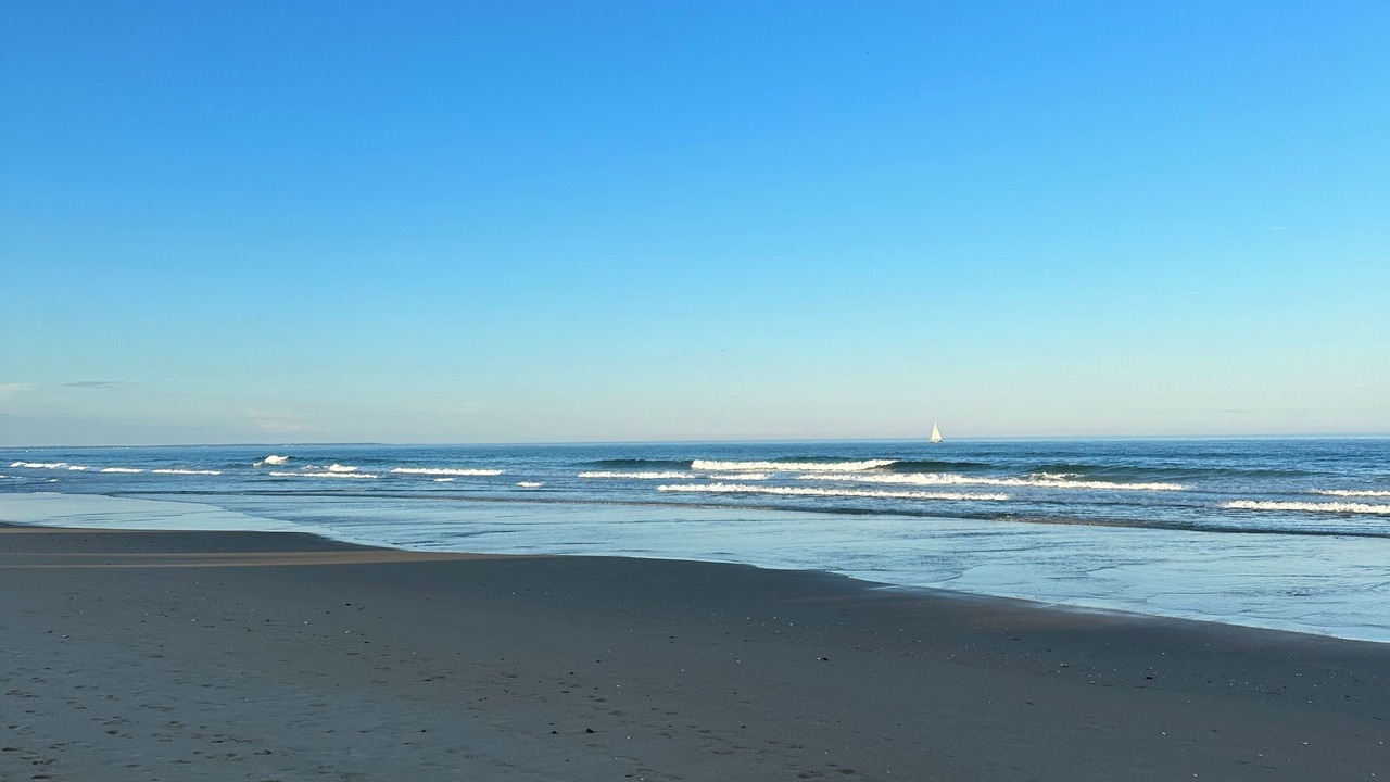 Photo of Others in Wells