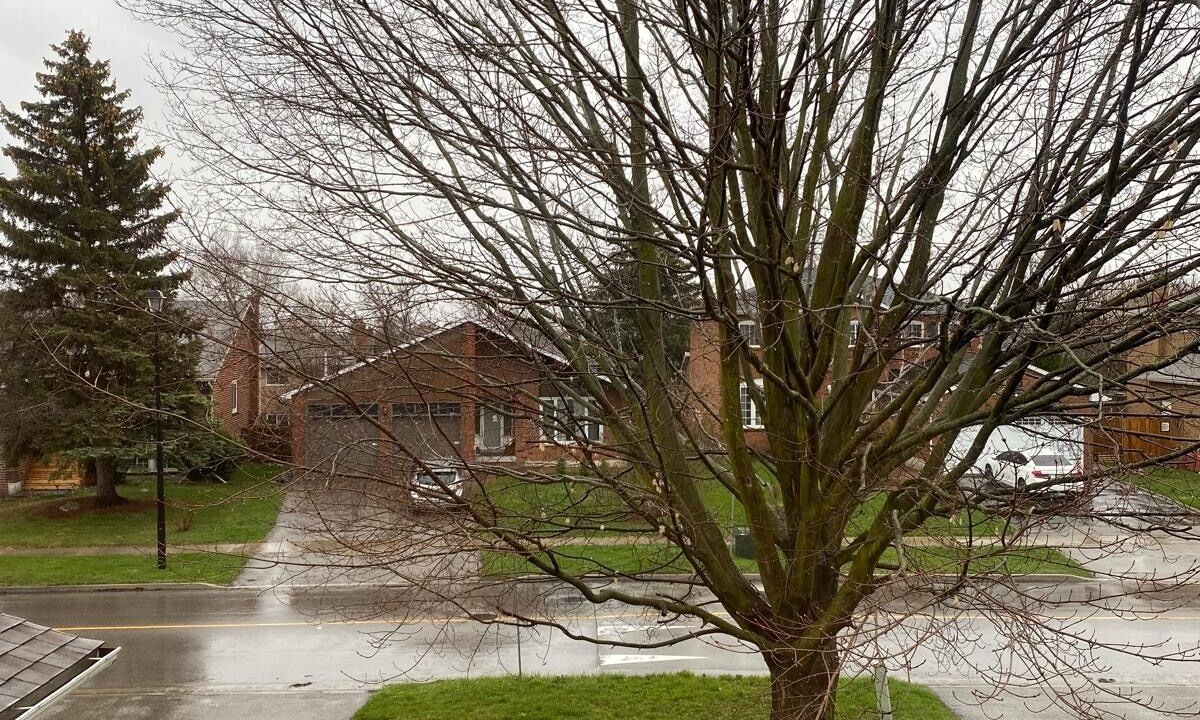 Photo of Outdoor in Newmarket