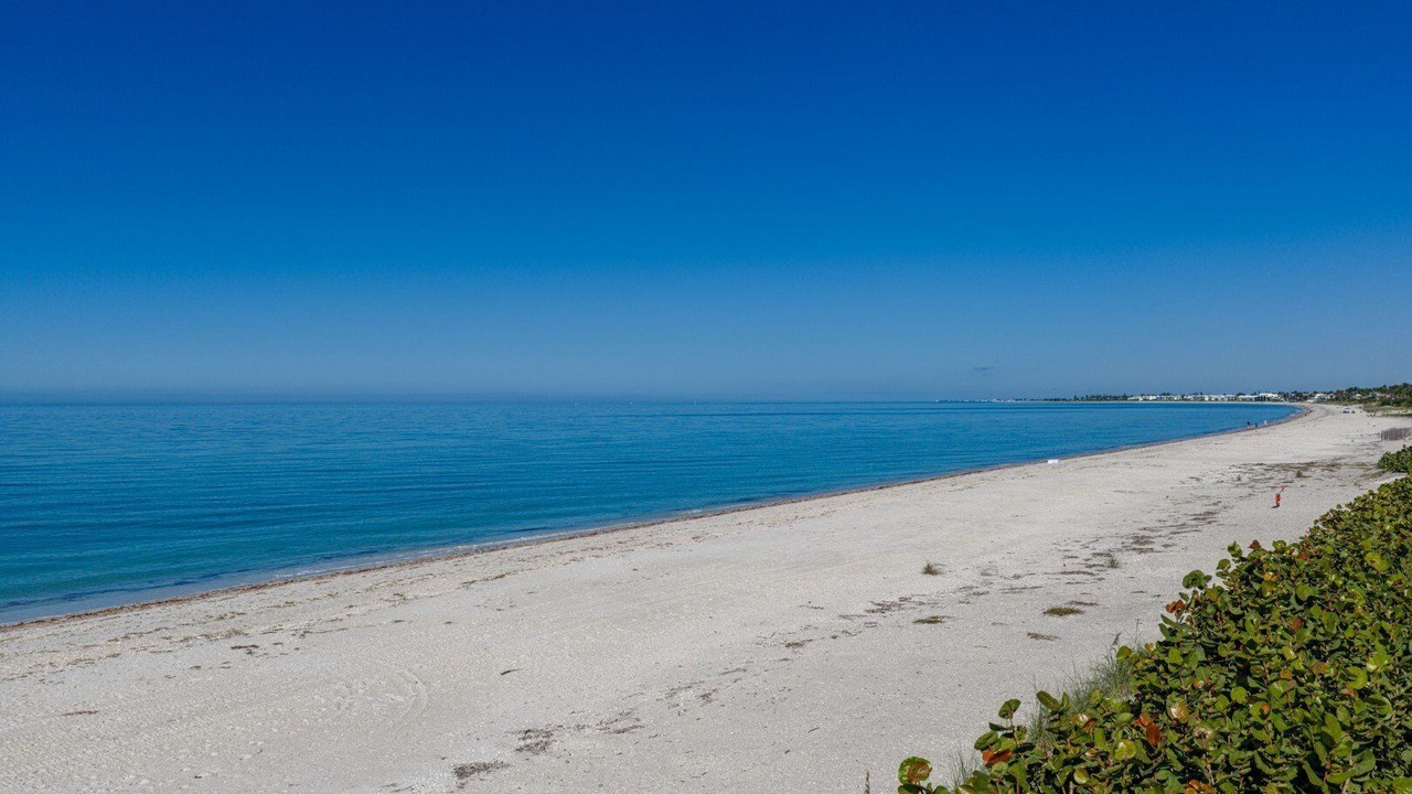 Photo of Others in Boca Grande