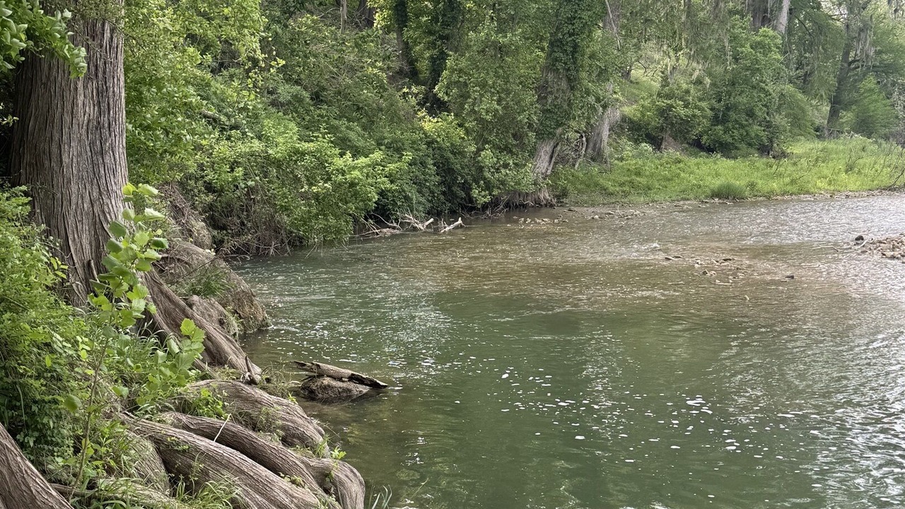 Photo of Others in Spring Branch