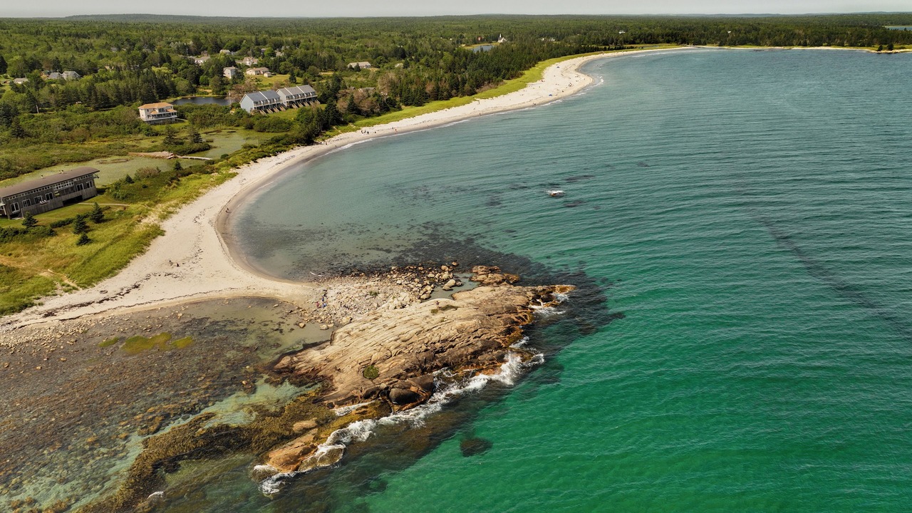 Photo of Others in Beach Meadows