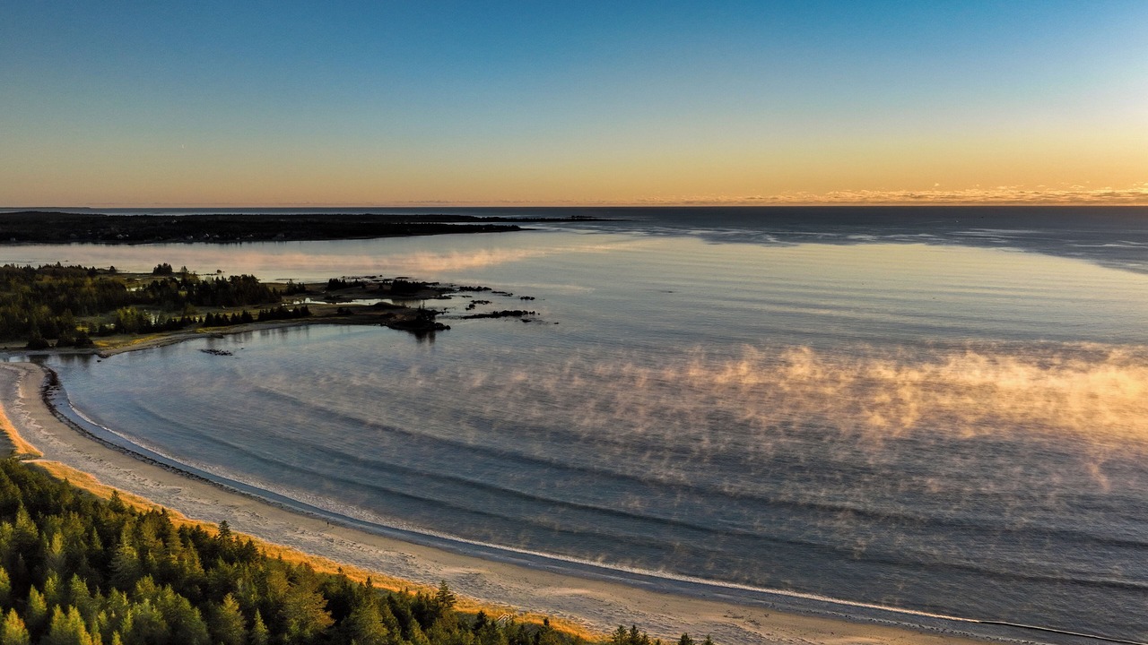 Photo of Others in Beach Meadows