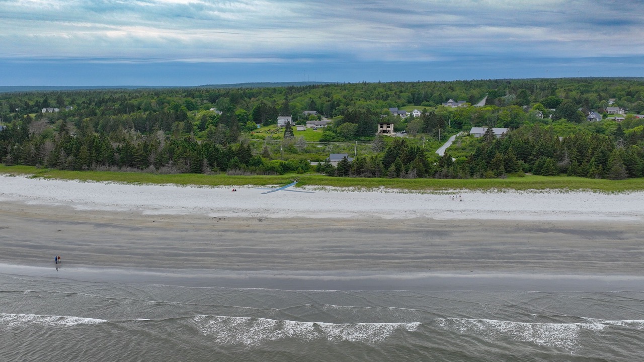 Photo of Others in Beach Meadows
