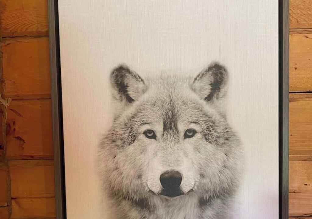 Photo of Others in Ririe