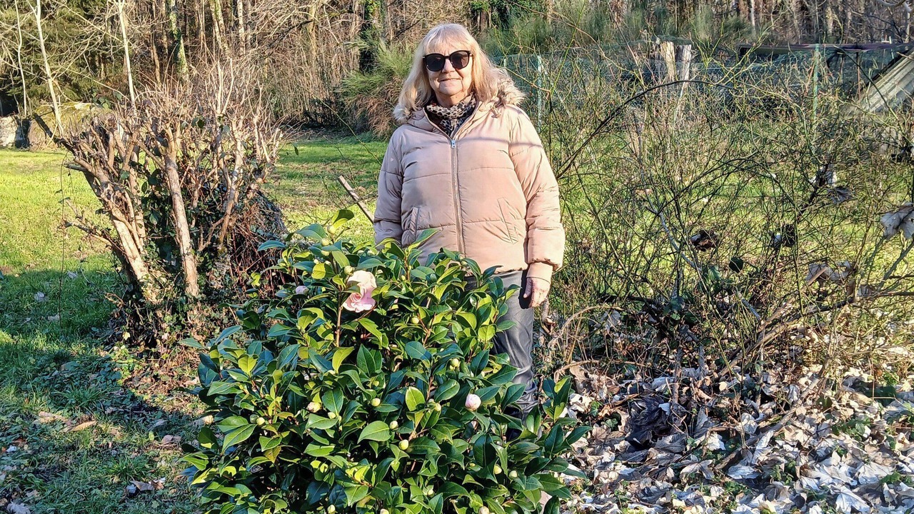 Photo of Outdoor in Saint-Salvy-de-la-Balme