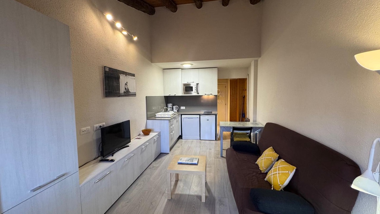 Photo of Livingroom in Pas de la Casa
