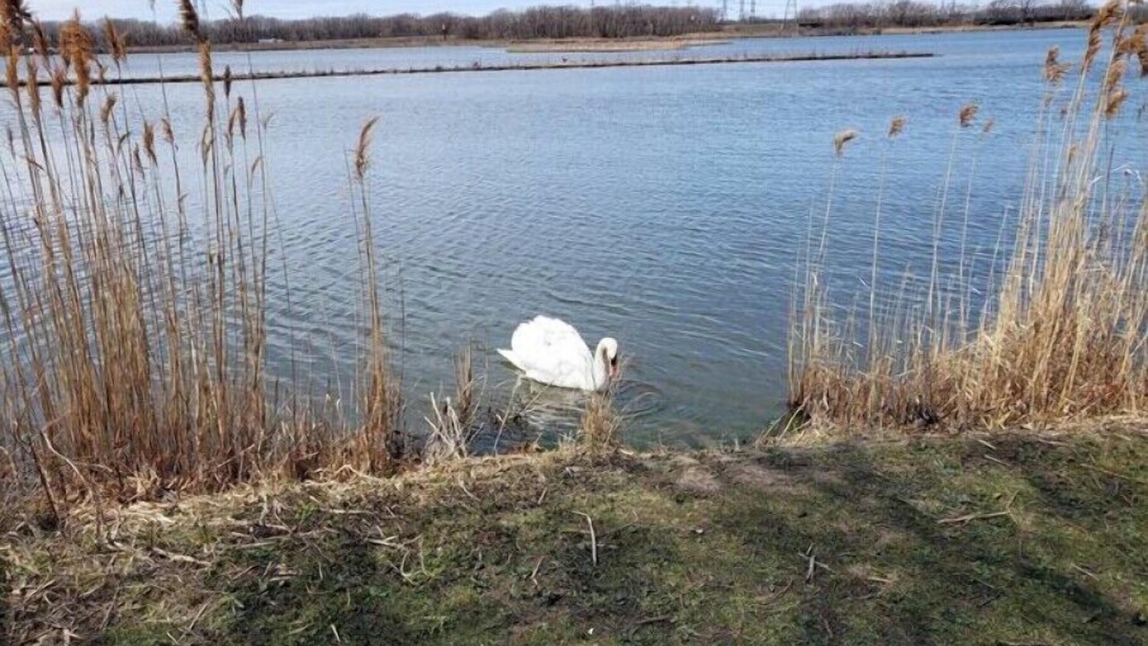 Photo of Others in Hammond