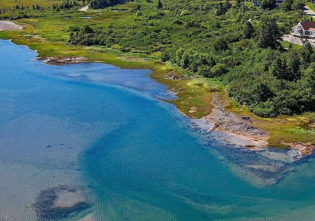 Photo of Outdoor in Lubec