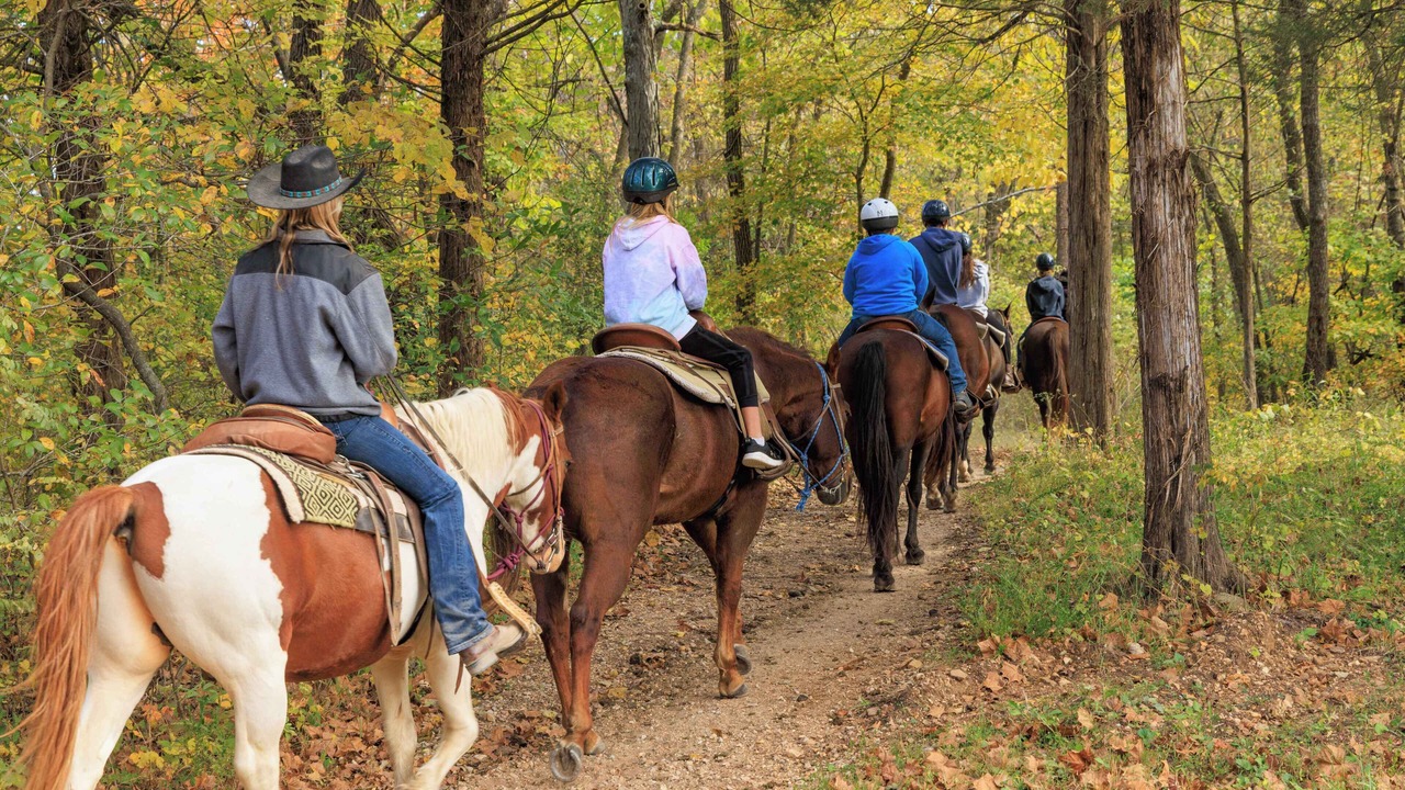 Photo of Others in Potosi