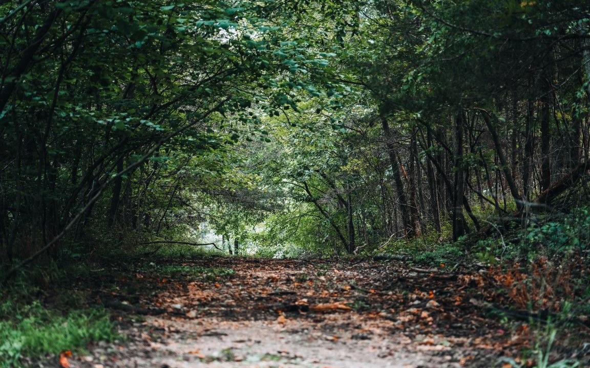 Photo of Outdoor in Potosi