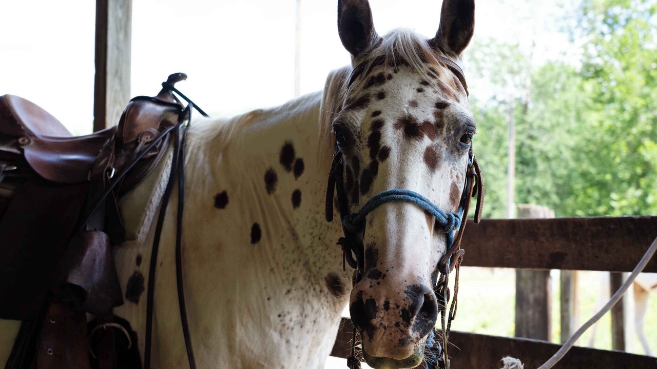 Photo of Others in Potosi