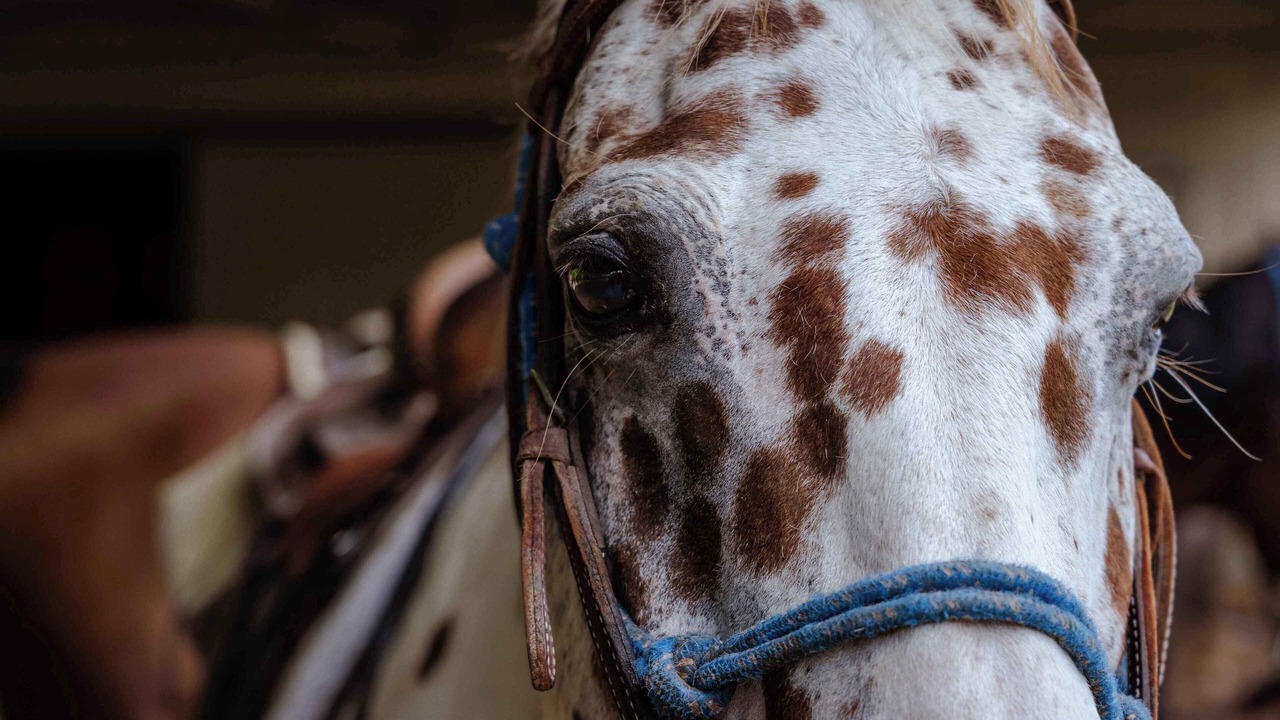 Photo of Others in Potosi