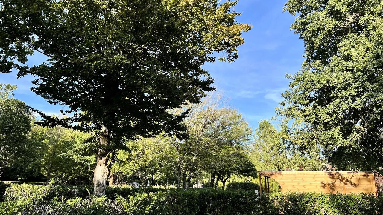 Photo of Others in Saint-Pierre-les-Nemours