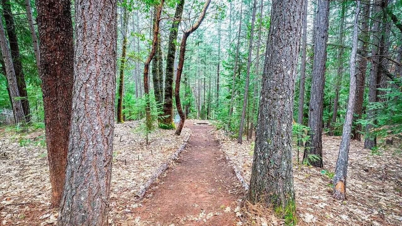 Photo of Others in Foresthill