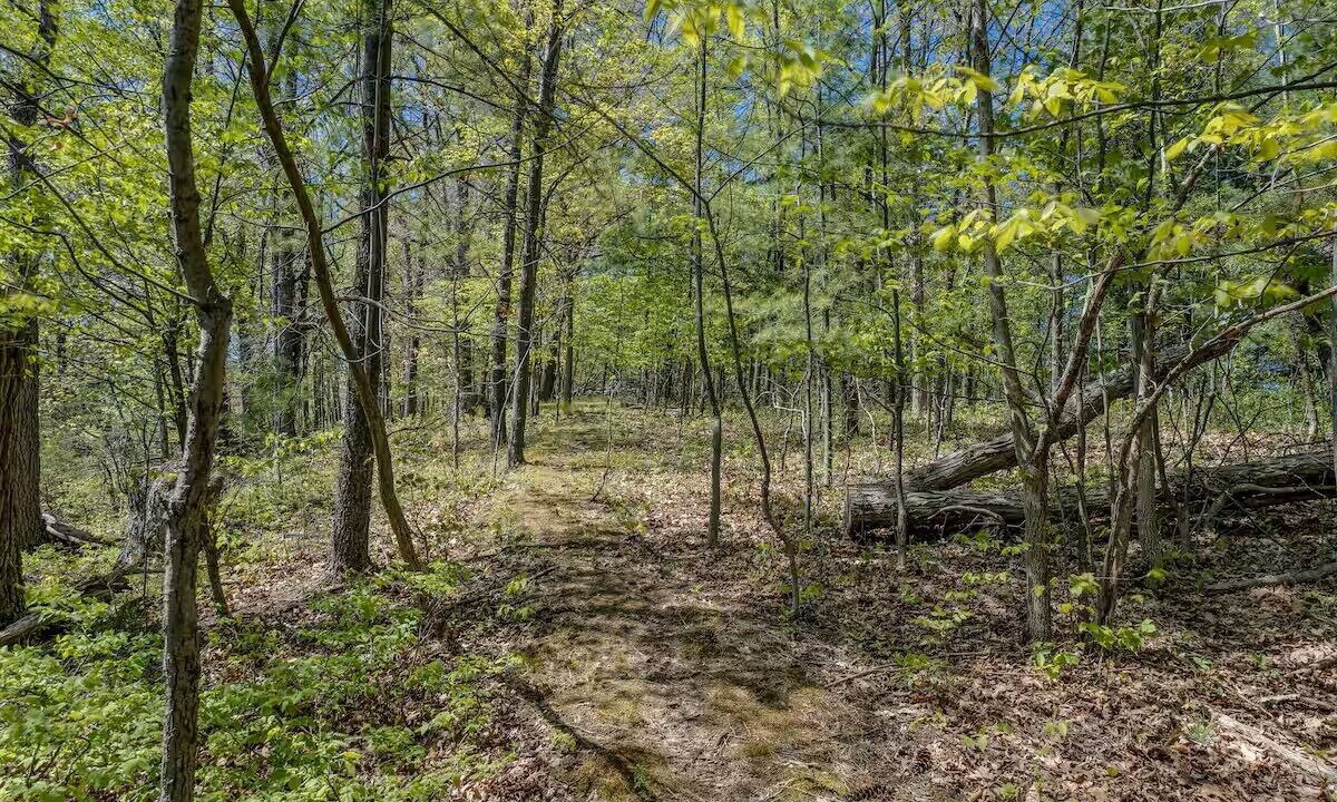 Photo of Others in Town of Milo