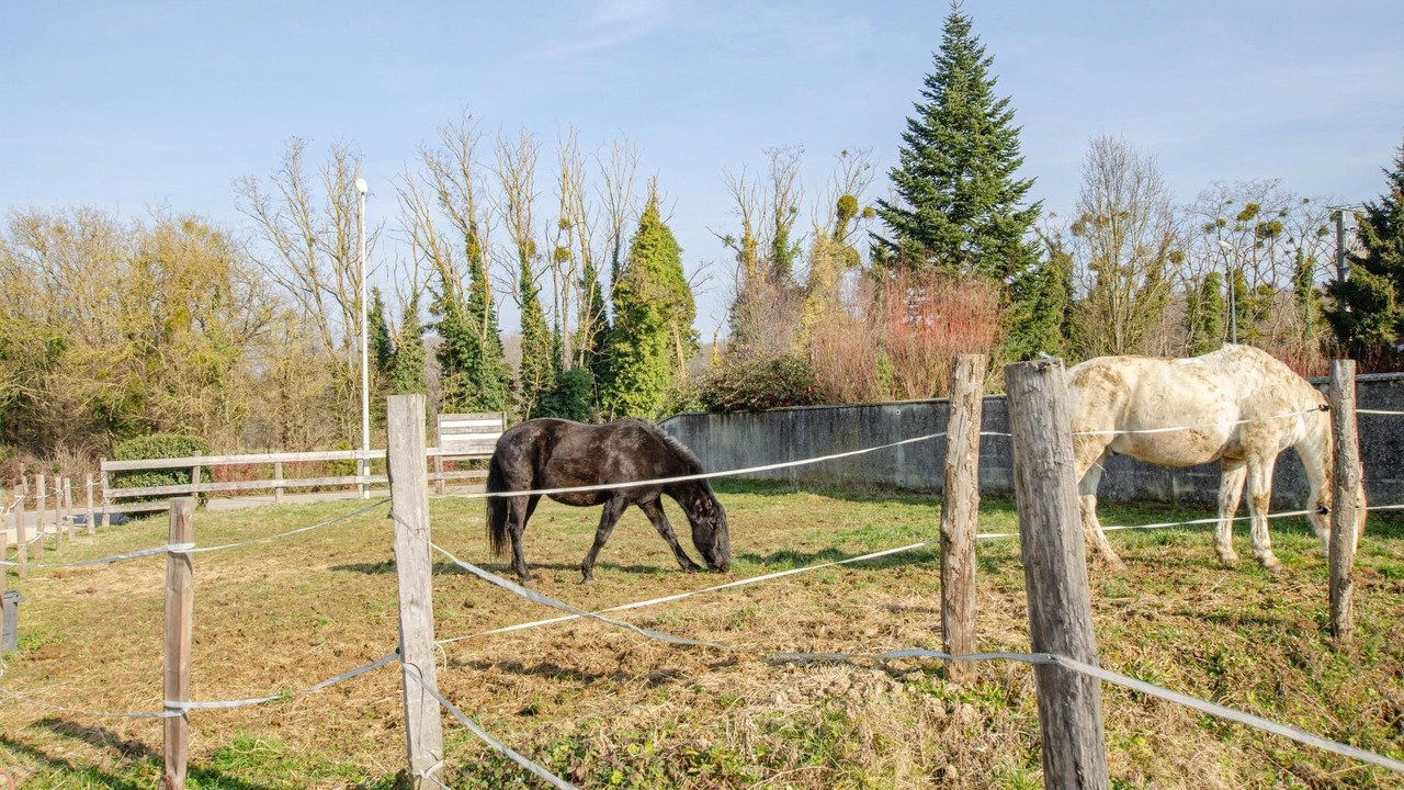 Photo of Others in Briel-sur-Barse