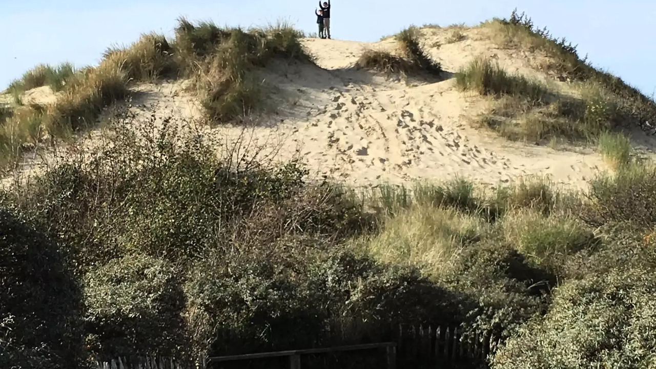 Photo of Others in La Calotterie