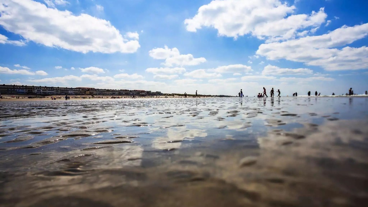 Photo of Others in La Calotterie