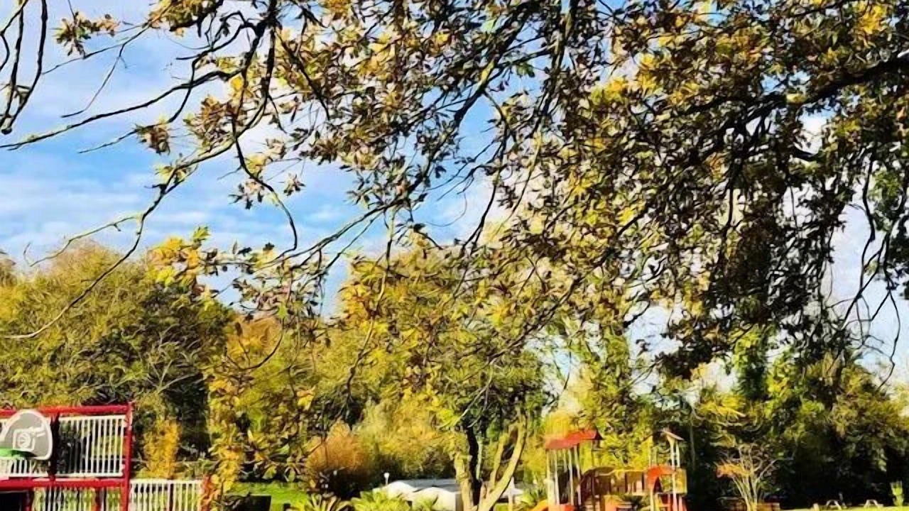 Photo of Others in La Calotterie