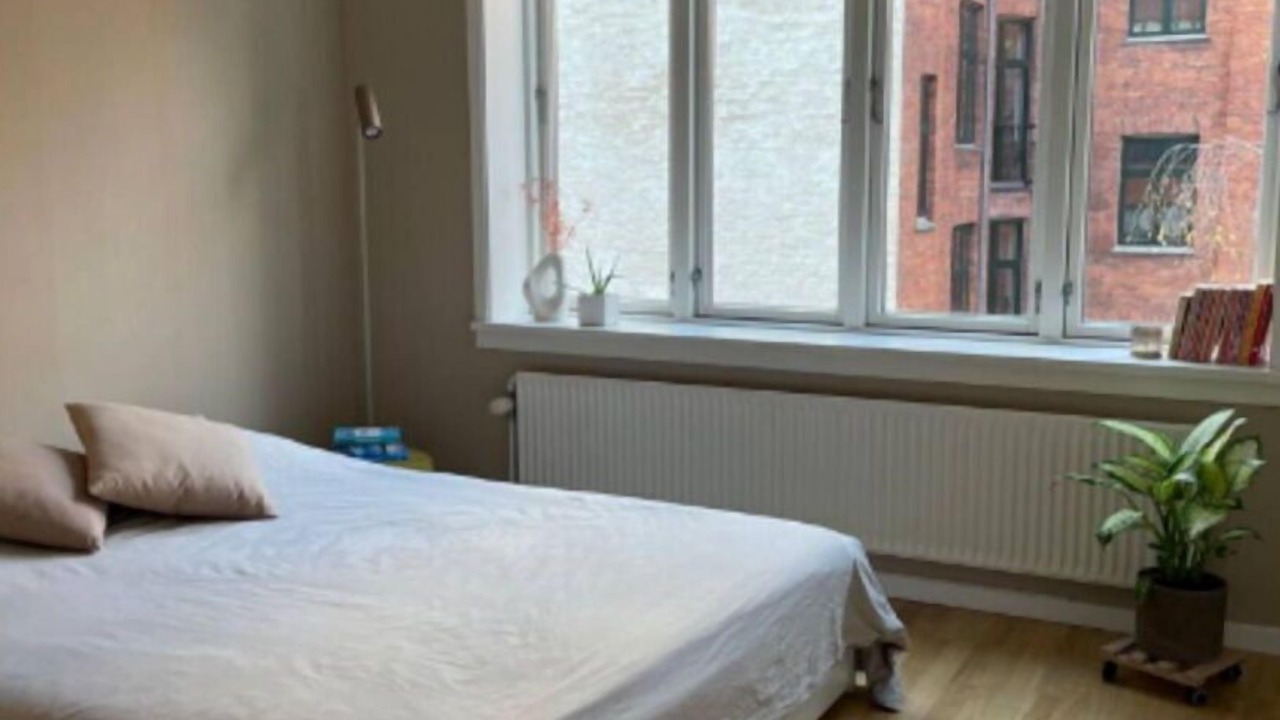 Photo of Others in København N
